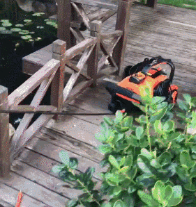 億力洗車機復雜環(huán)境使用 億力洗車機復雜環(huán)境使用