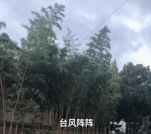 億力洗車機使用環(huán)境 億力洗車機使用環(huán)境